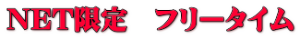 NET限定　フリータイム